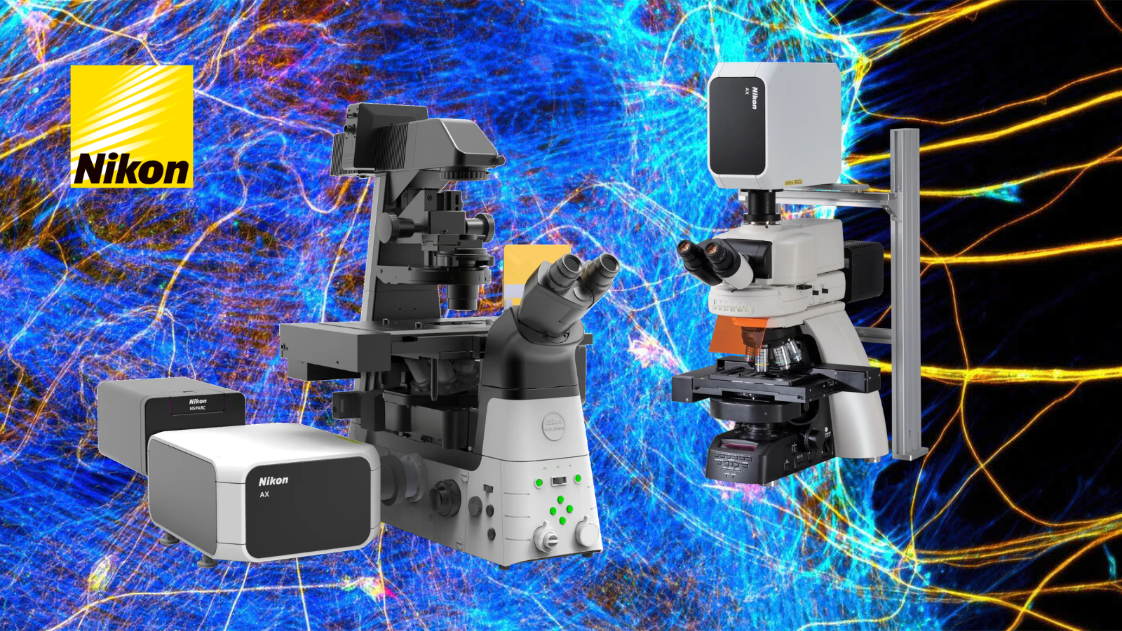 Kính hiển vi Nikon trong nghiên cứu tế bào học