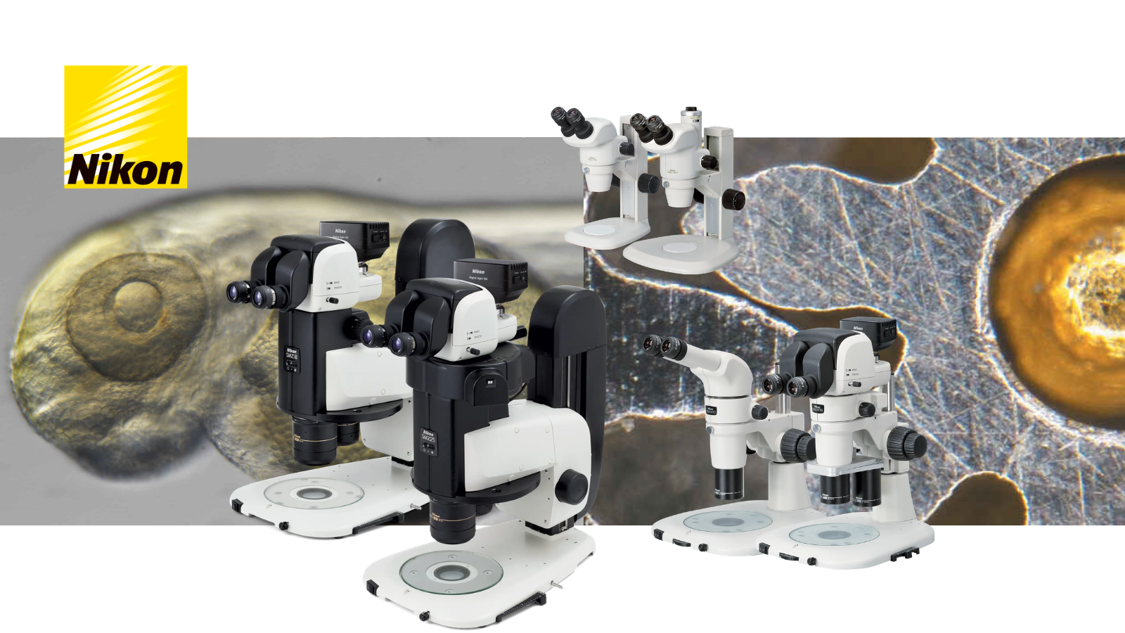Nikon stereoscopic zoom microscopes