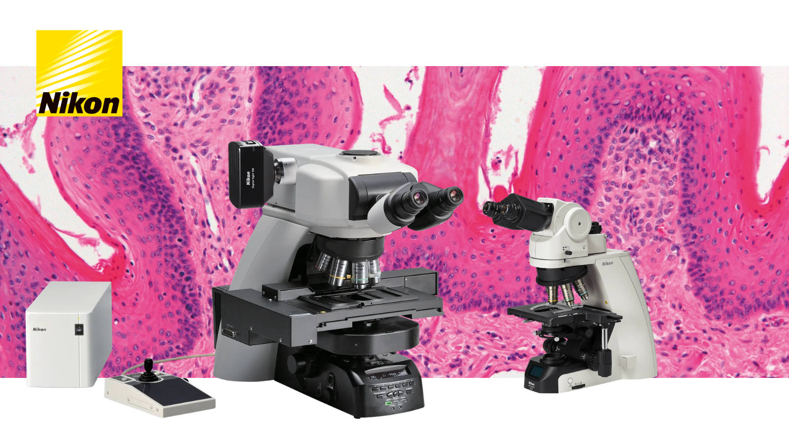 Nikon upright microscope