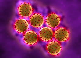 Xét nghiệm nhanh kháng nguyên virus Rota nhóm A
